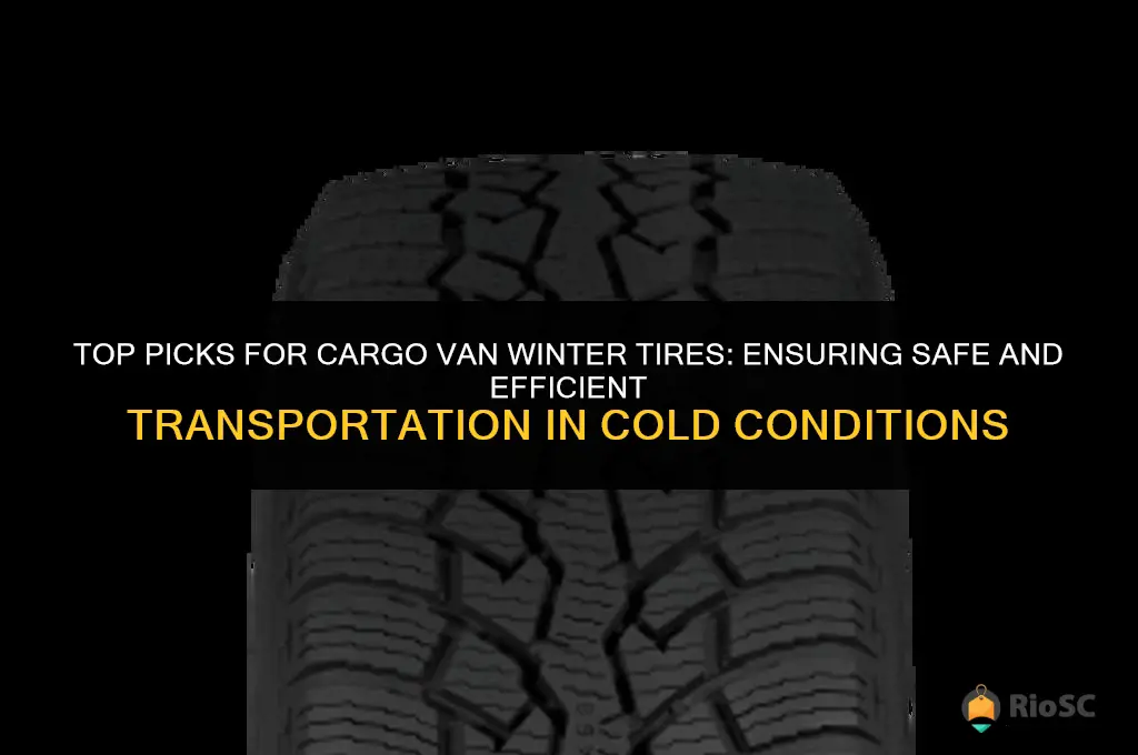 best cargo van winter tires