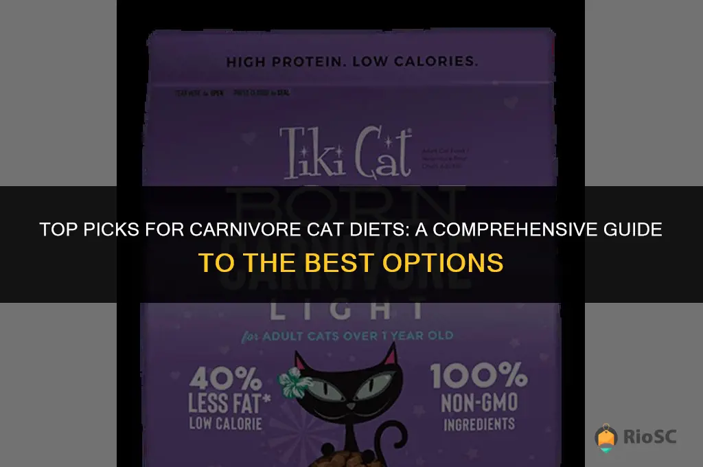 best carnivore cat food