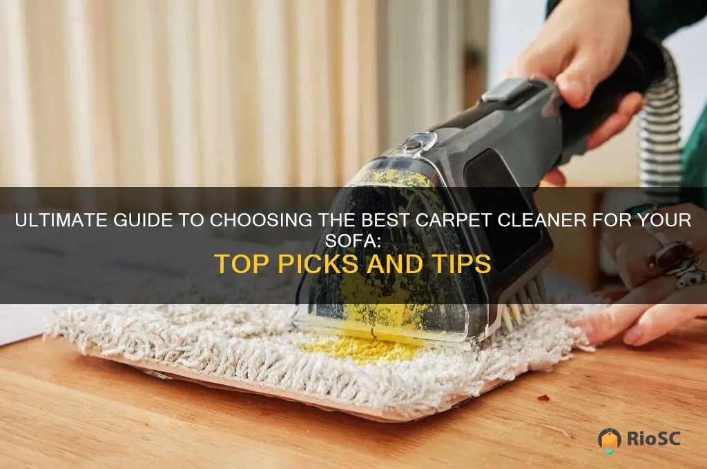 best carpet cleaner for sofa