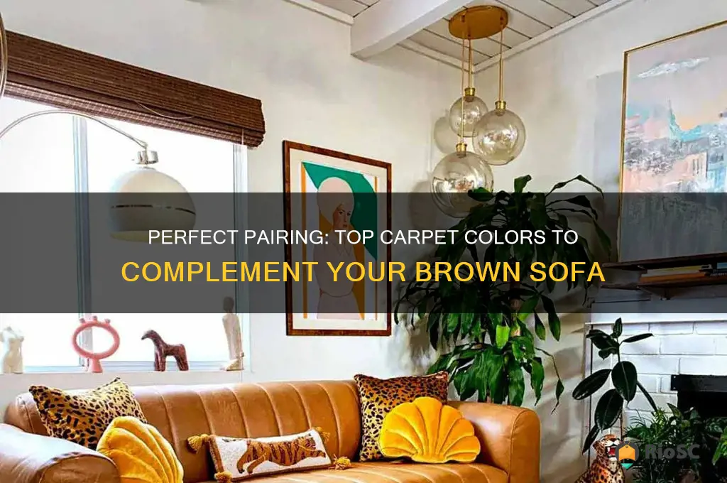 best carpet color for brown sofa