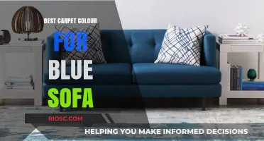 Perfect Carpet Colors to Complement Your Blue Sofa: A Stylish Guide