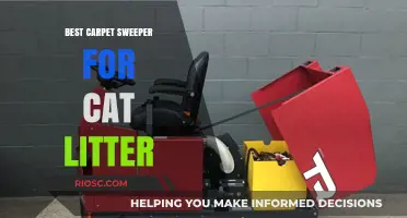 Top Carpet Sweeper Picks for Effortless Cat Litter Cleanup