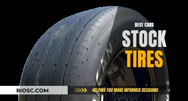 Stocking Up: Choosing the Best Cars with Standard Tire Excellence