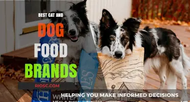 Top-Rated Cat and Dog Food Brands: A Comprehensive Guide for Pet Owners