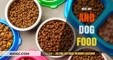 Top Picks for Your Furry Friends: The Best Cat and Dog Food Options