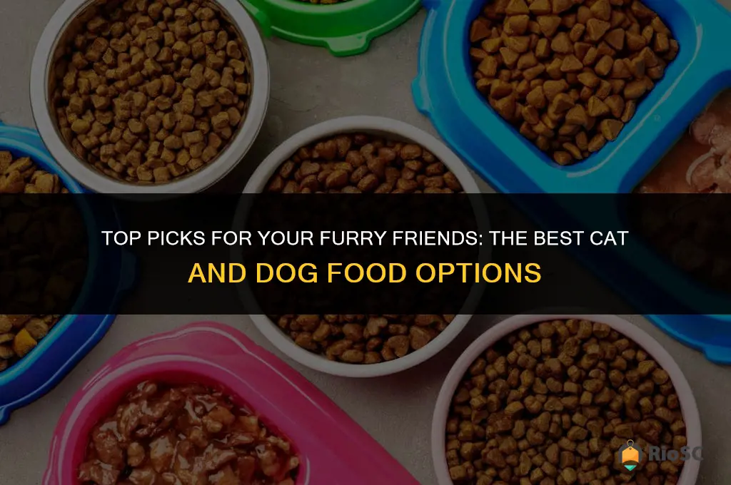 best cat and dog food