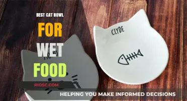 Purr-fectly Sized: The Ultimate Guide to Choosing the Best Cat Bowl for Wet Food