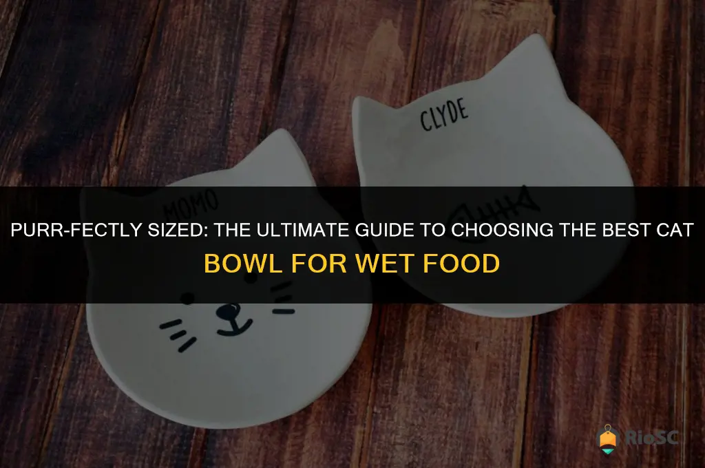 best cat bowl for wet food