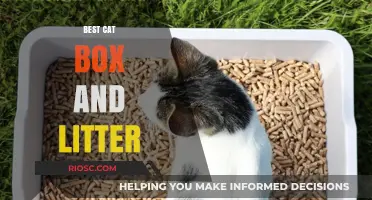 Purr-fect Choices: Top Cat Box and Litter Options for a Clean and Happy Feline Home