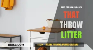 Top Cat Litter Box Solutions for Messy Cats That Kick Litter Everywhere