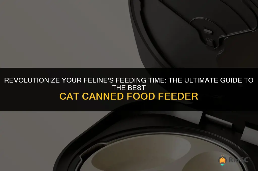 best cat canned food feeder