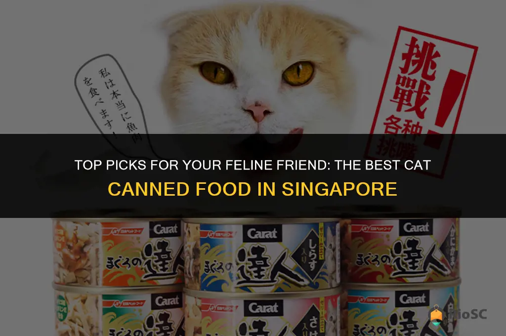 best cat canned food singapore