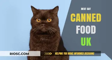 Top Picks for Your Feline Friend: The Best Cat Canned Food in the UK