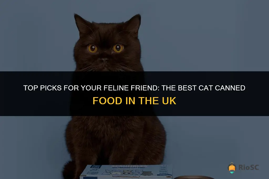 best cat canned food uk
