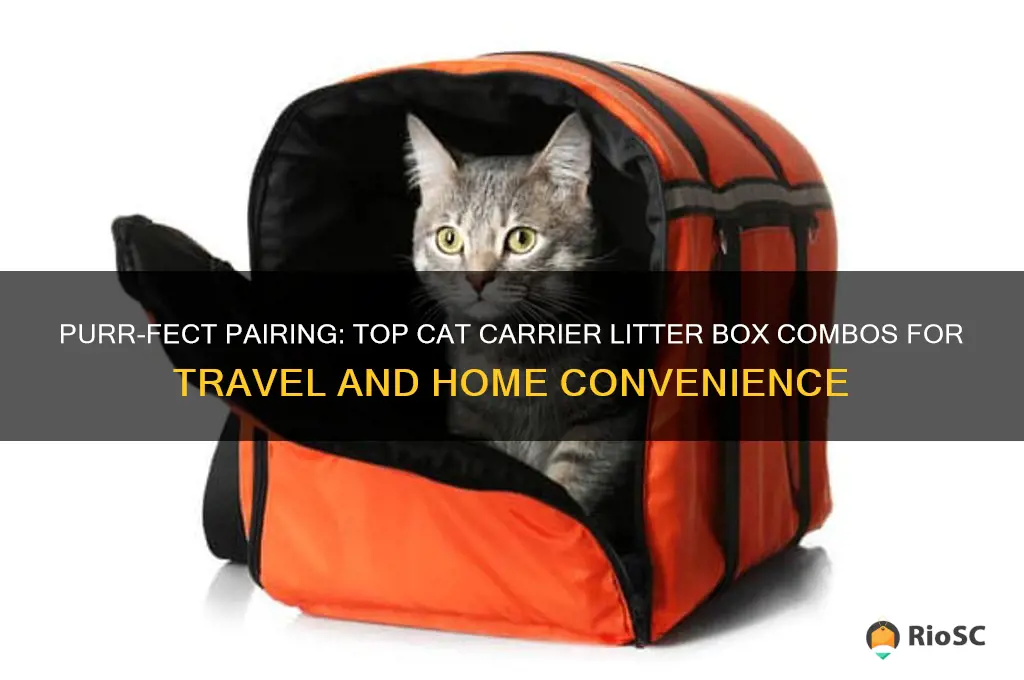 best cat carrier litter box combo