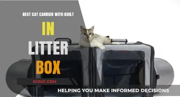 Travel-Friendly Feline Solutions: Top Cat Carriers with Built-In Litter Boxes for Stress-Free Journeys