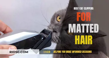 Best Cat Clippers for Tackling Matted Fur