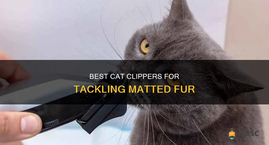 best cat clippers for matted hair