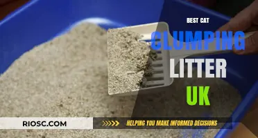 Top-Rated Clumping Cat Litter Options in the UK: A Comprehensive Guide