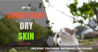 Purr-fectly Nourished: Top Cat Conditioners for Dry Skin Relief