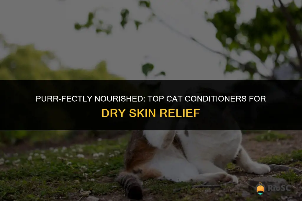 best cat conditioner dry skin