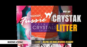 Top Picks for the Best Cat Crystal Litter: Keep Your Feline Friend Happy and Your Home Fresh