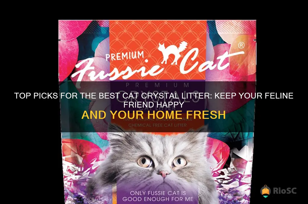 best cat crystak litter
