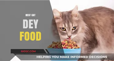 Purr-fect Nutrition: Unveiling the Best Cat Dry Food Options for Your Feline Friend