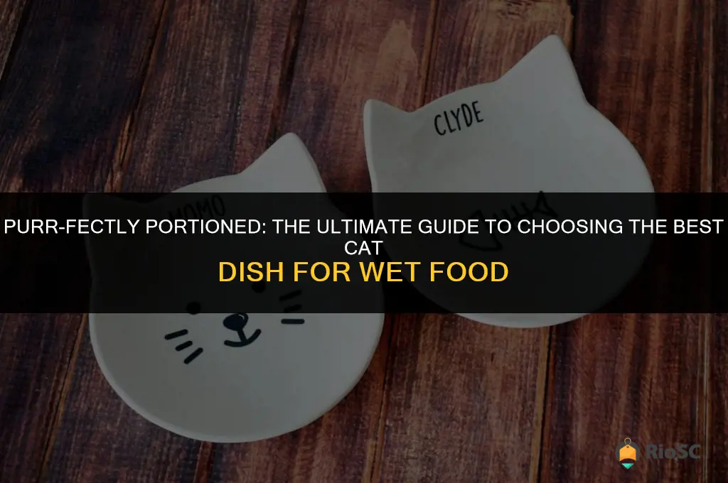 best cat dish for wet food