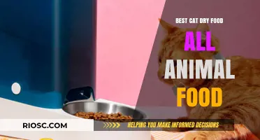 Purr-fect Nutrition: Unveiling the Best Cat Dry Food Options for Your Feline Friend