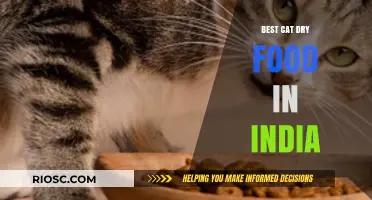 Purr-fect Nutrition: Unveiling the Best Cat Dry Food Options in India