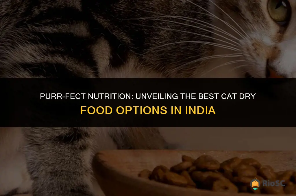 best cat dry food in india