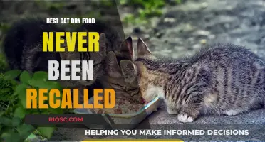 Top-Rated Cat Dry Food with a Perfect Safety Record: Never Recalled, Always Trusted