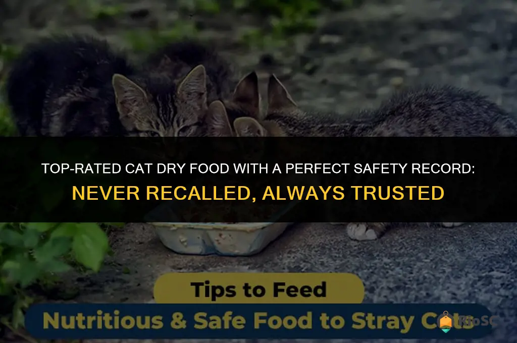 best cat dry food never been recalled