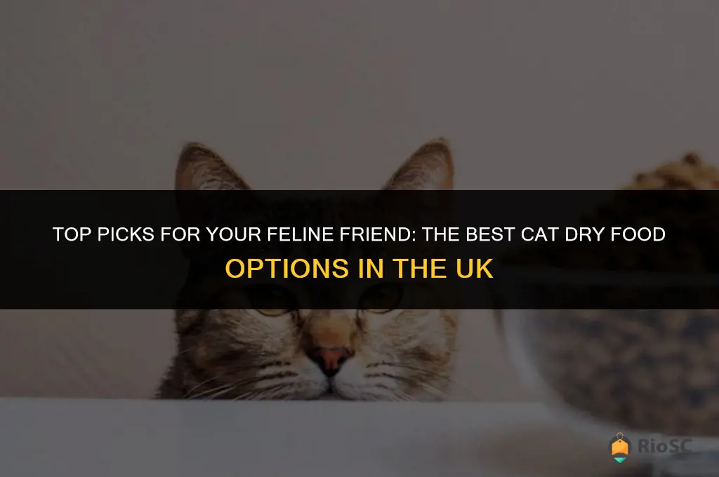 best cat dry food uk