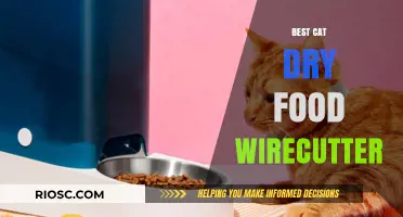 Top Picks for Your Feline Friend: The Best Cat Dry Food According to Wirecutter