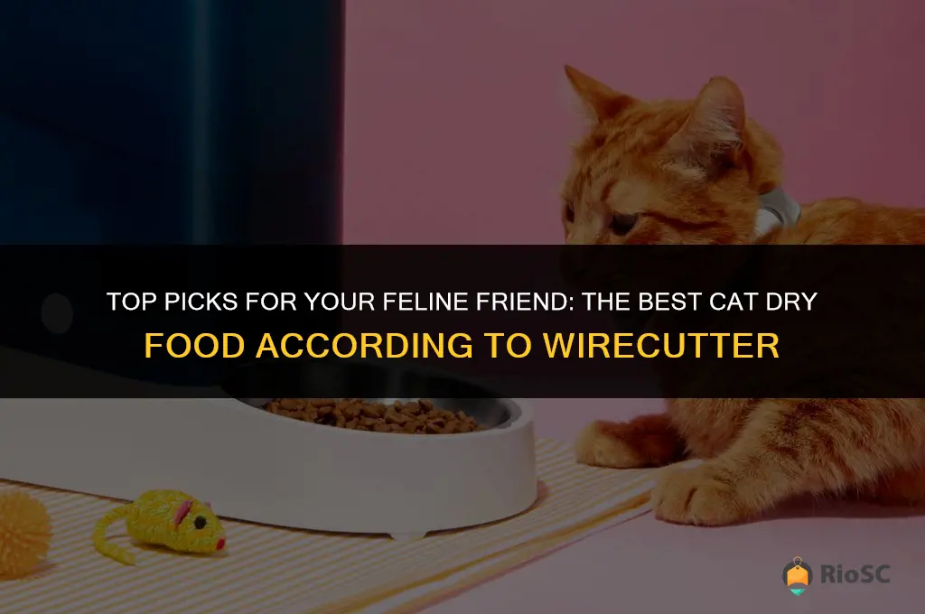 best cat dry food wirecutter