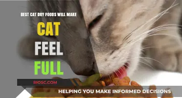 Top-Rated Dry Cat Foods for Optimal Satiety and Nutrition
