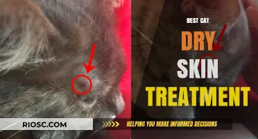 Top Solutions for Feline Dry Skin: A Comprehensive Guide to the Best Treatments