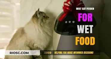 Revolutionize Your Feline's Mealtime: Discover the Ultimate Wet Food Feeder for Cats
