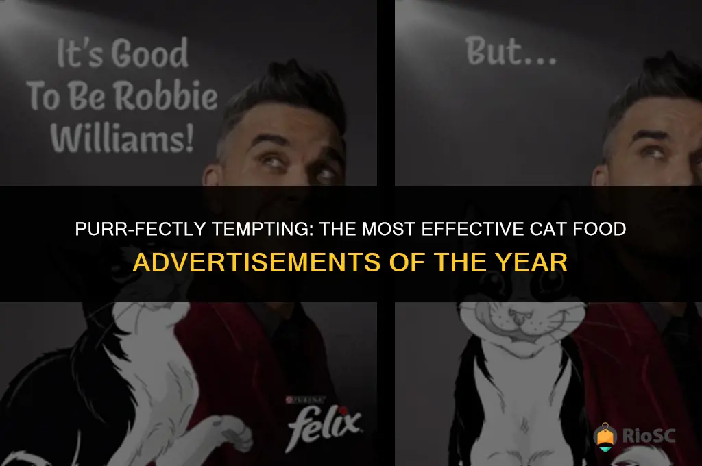 best cat food ads