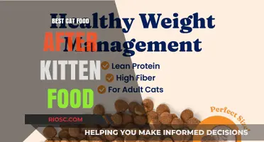 Transitioning Tummies: The Ultimate Guide to Choosing the Best Cat Food After Kittenhood