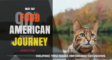 Exploring the Best Cat Food Options: A Comprehensive Guide to American Journey