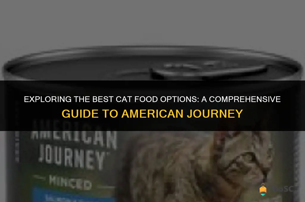 best cat food american journey