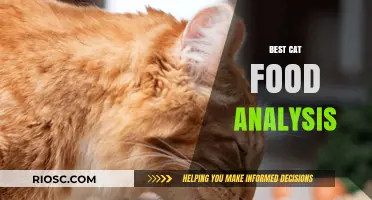 Decoding the Purr-fect Diet: An In-Depth Analysis of the Best Cat Foods