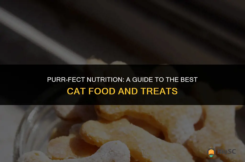 best cat food and treats