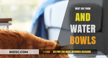 Purr-fect Dining: A Guide to the Best Cat Food and Water Bowls for Your Feline Friend