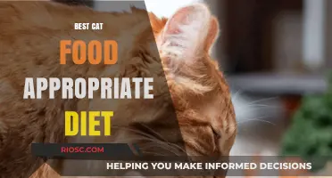 Whiskers' Wellness: A Guide to the Best Cat Food for a Balanced Diet