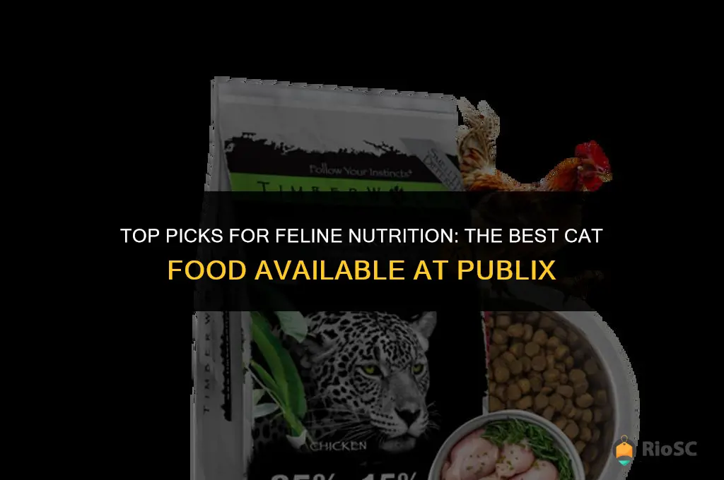 best cat food at publix
