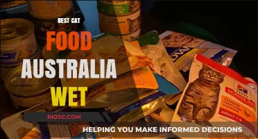 Top-Rated Wet Cat Food Options in Australia: A Comprehensive Guide for Feline Nutrition